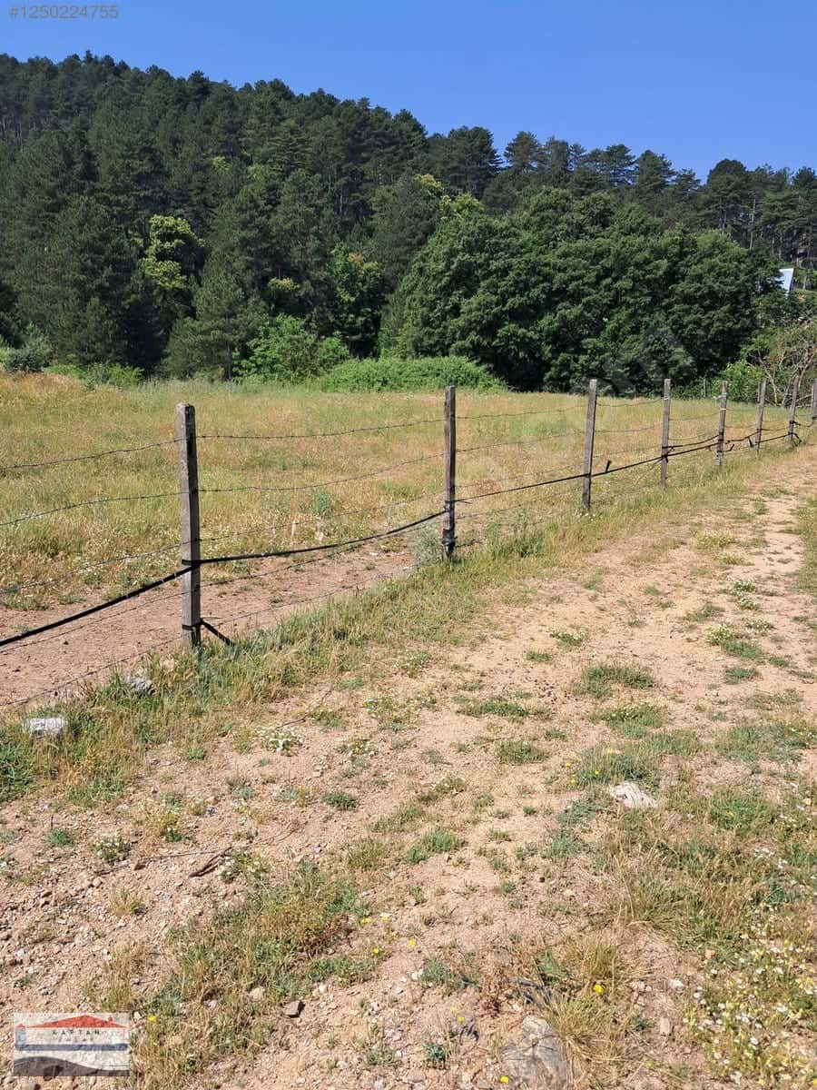 Çanakkale Yenice Eski Yenice satılık arsa