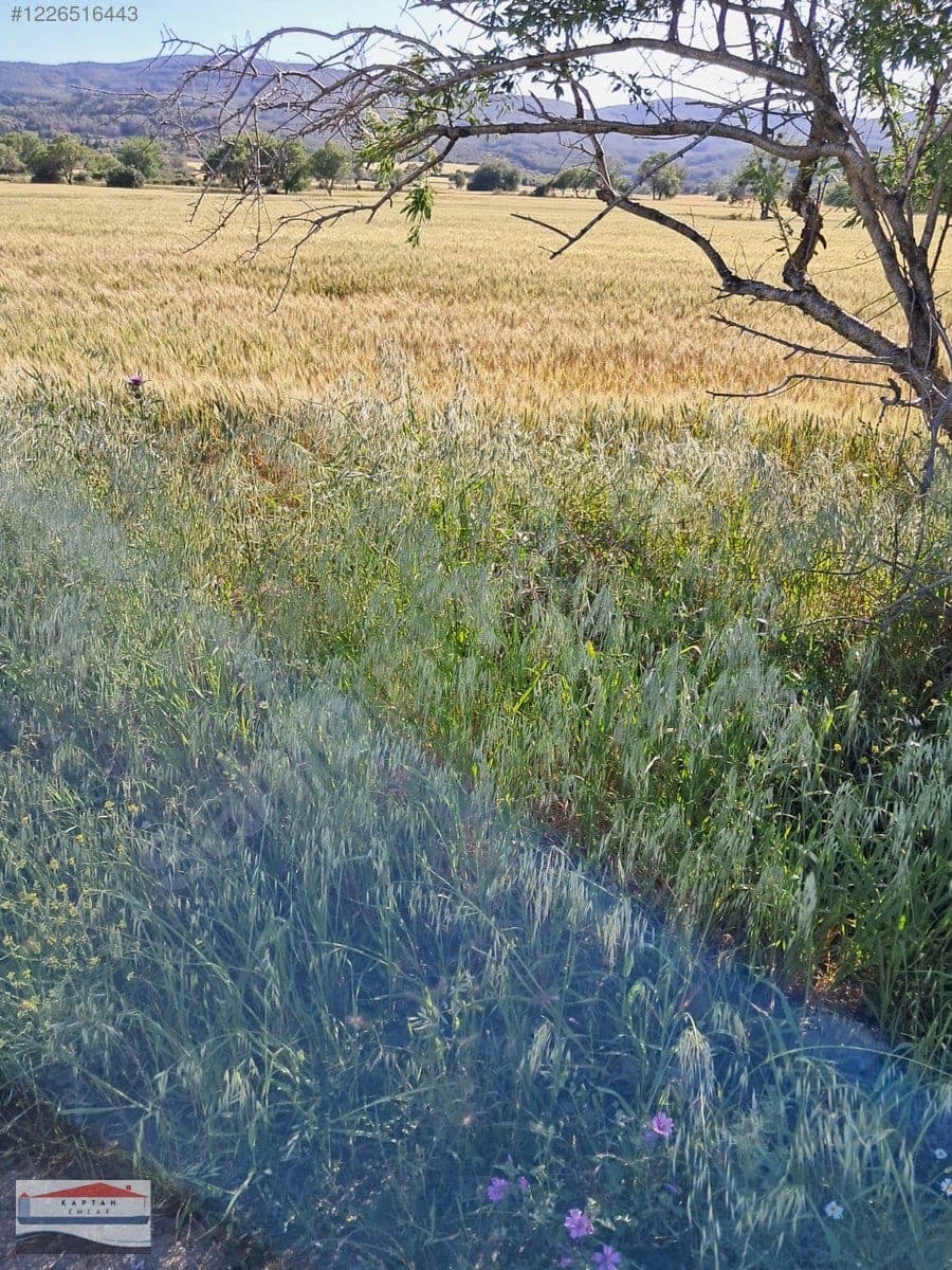 Çanakkale Eceabat Beşyol Köyü satılık arsa – fotoğraf 3