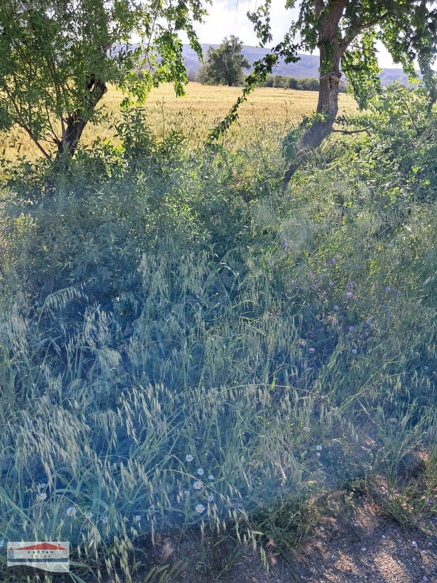 Çanakkale Eceabat Beşyol Köyü satılık arsa – fotoğraf 5
