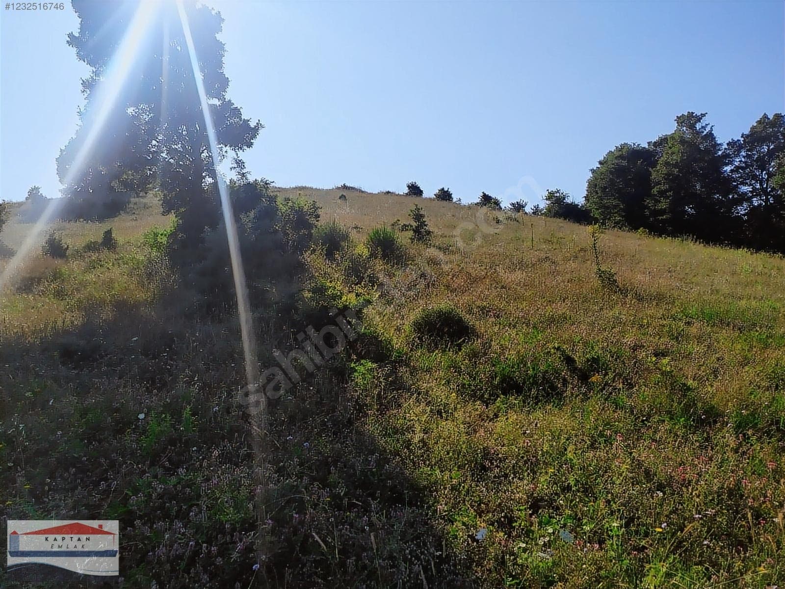 Çanakkale Yenice Umurlar Köyü satılık arsa – fotoğraf 8