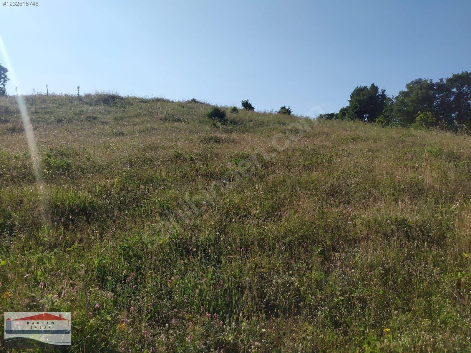Çanakkale Yenice Umurlar Köyü satılık arsa – fotoğraf 6