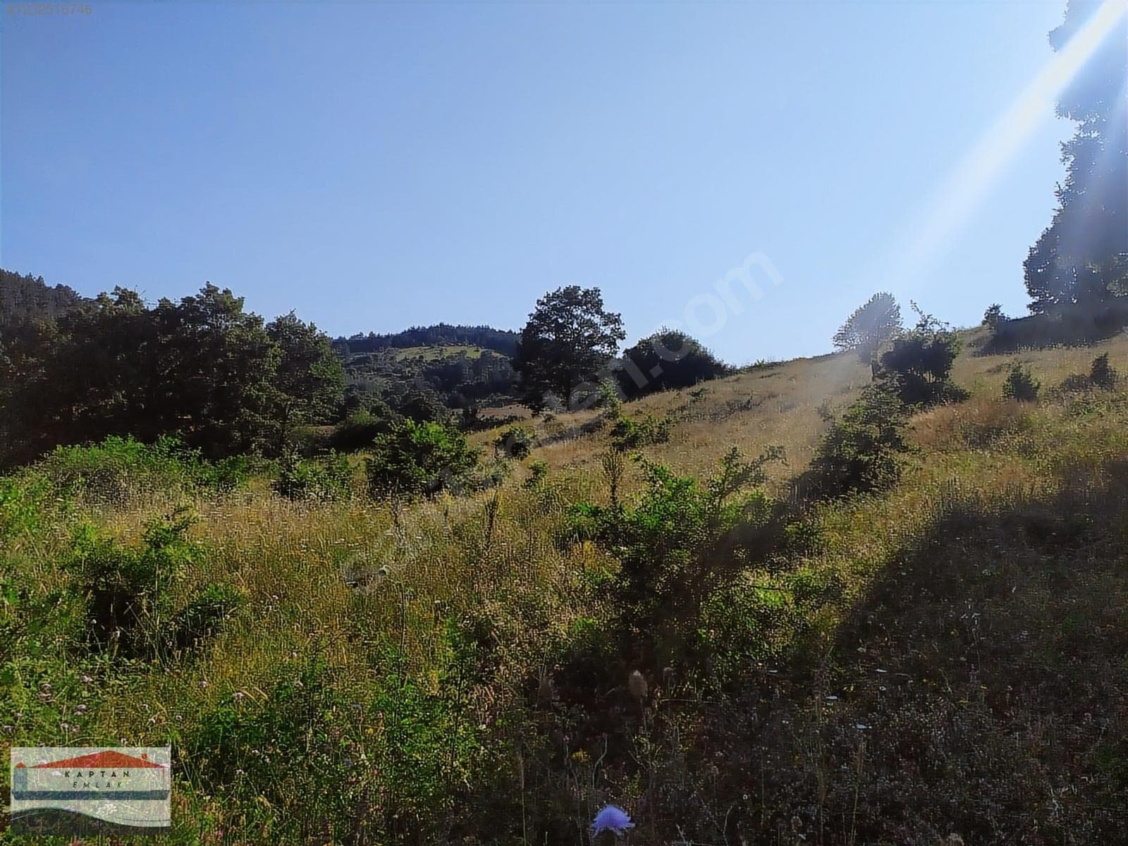 Çanakkale Yenice Umurlar Köyü satılık arsa – fotoğraf 5