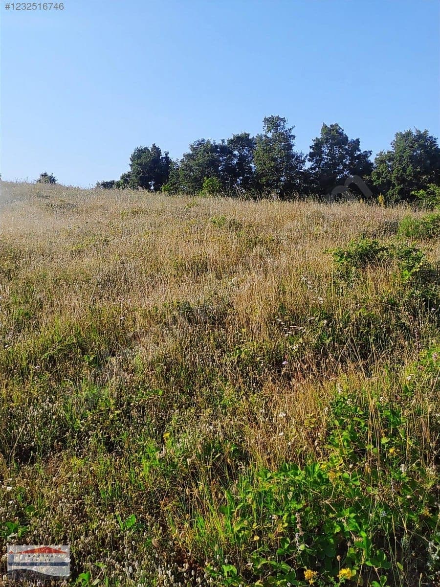 Çanakkale Yenice Umurlar Köyü satılık arsa – fotoğraf 7