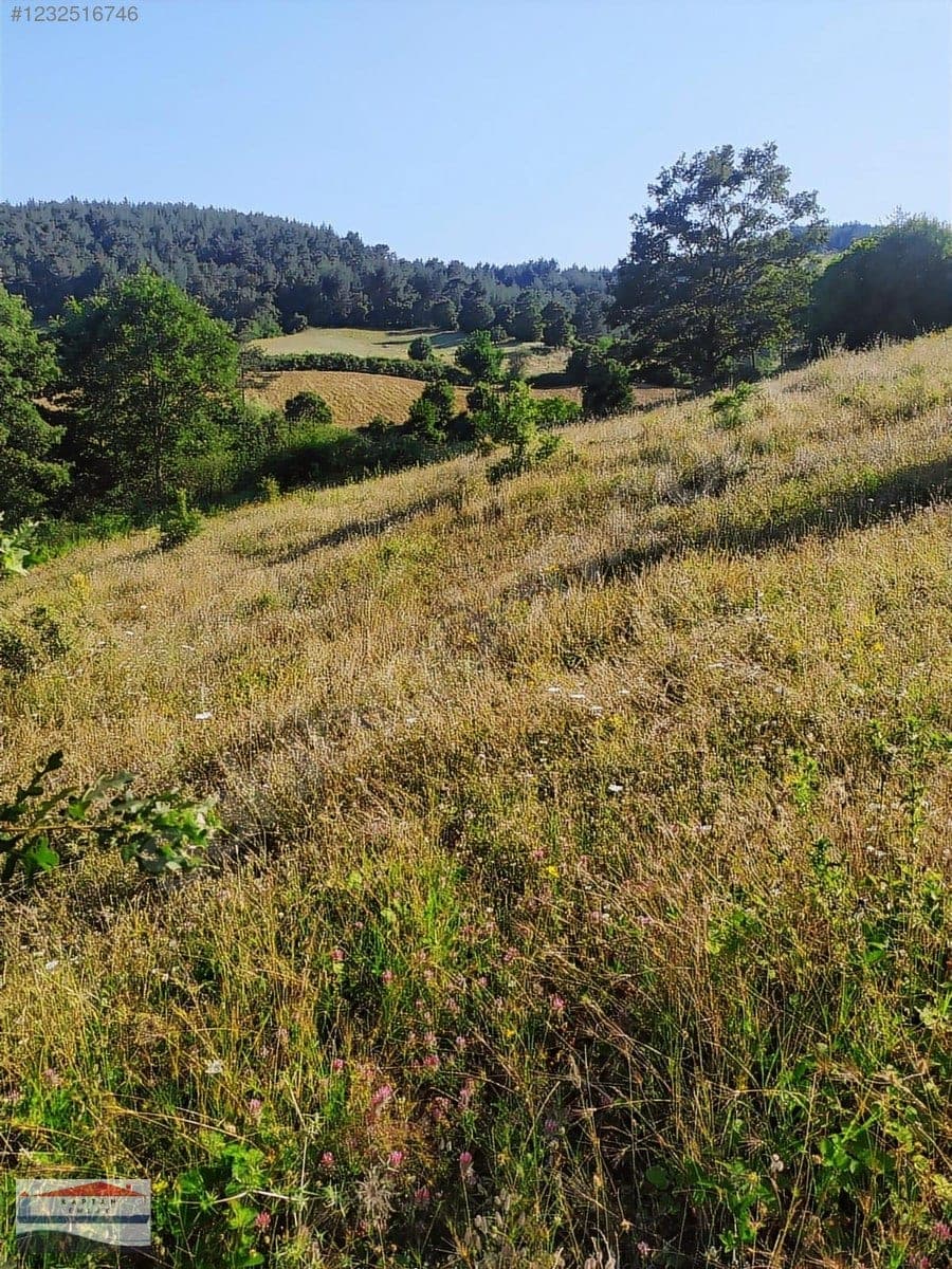 Çanakkale Yenice Umurlar Köyü satılık arsa – fotoğraf 16