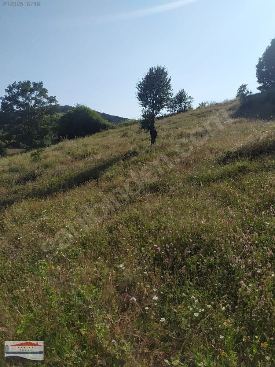 Çanakkale Yenice Umurlar Köyü satılık arsa – fotoğraf 14