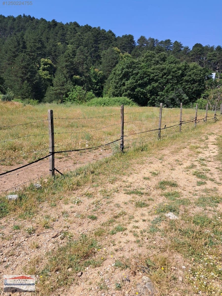 Çanakkale Yenice Eski Yenice satılık arsa – fotoğraf 1