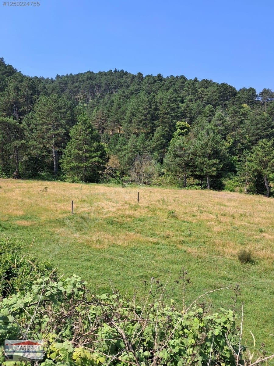 Çanakkale Yenice Eski Yenice satılık arsa – fotoğraf 3