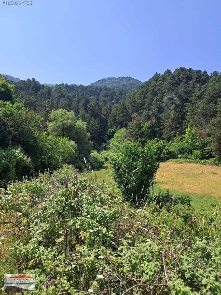 Çanakkale Yenice Eski Yenice satılık arsa – fotoğraf 8