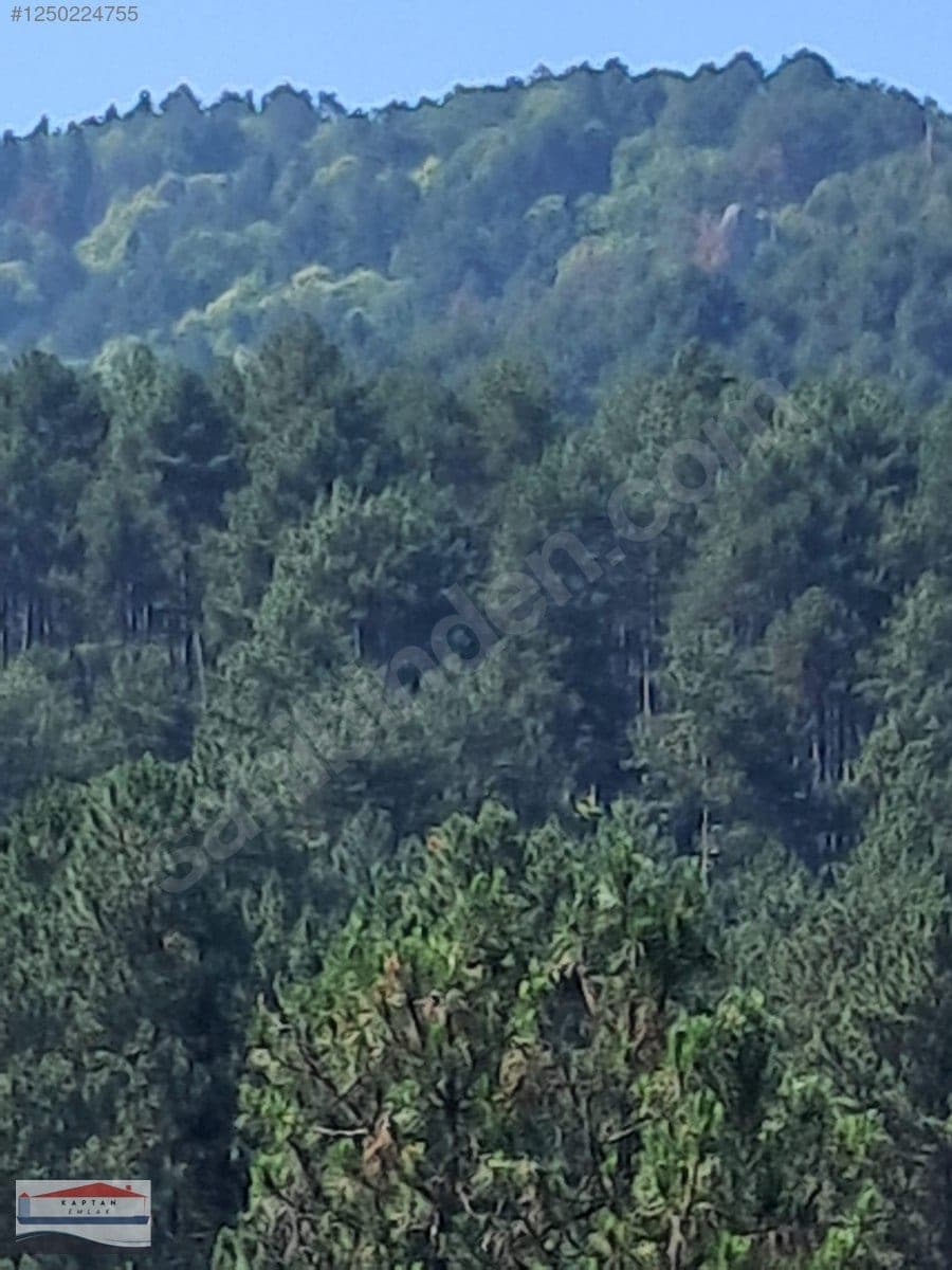 Çanakkale Yenice Eski Yenice satılık arsa – fotoğraf 11