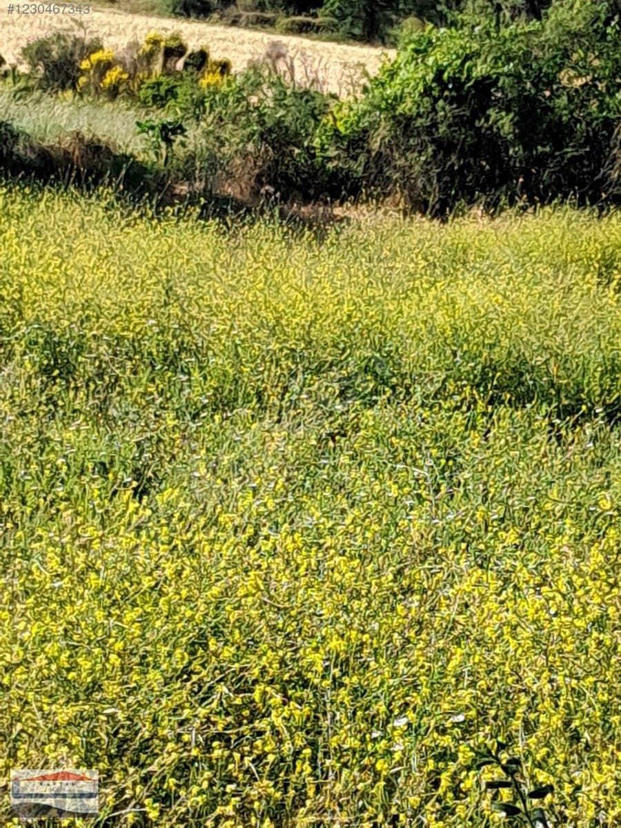 Çanakkale Eceabat Beşyol Köyü satılık arsa – fotoğraf 10