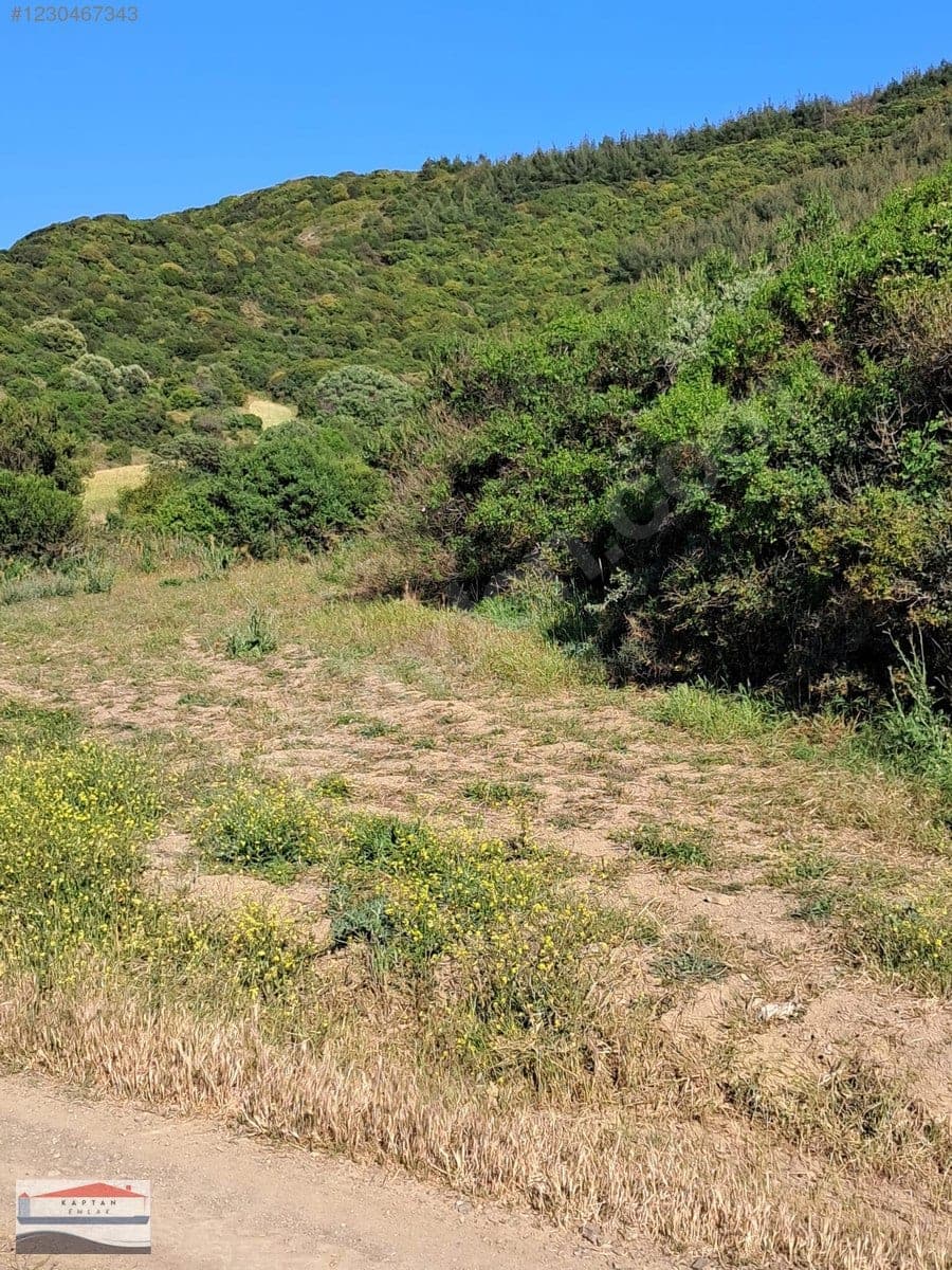 Çanakkale Eceabat Beşyol Köyü satılık arsa – fotoğraf 16