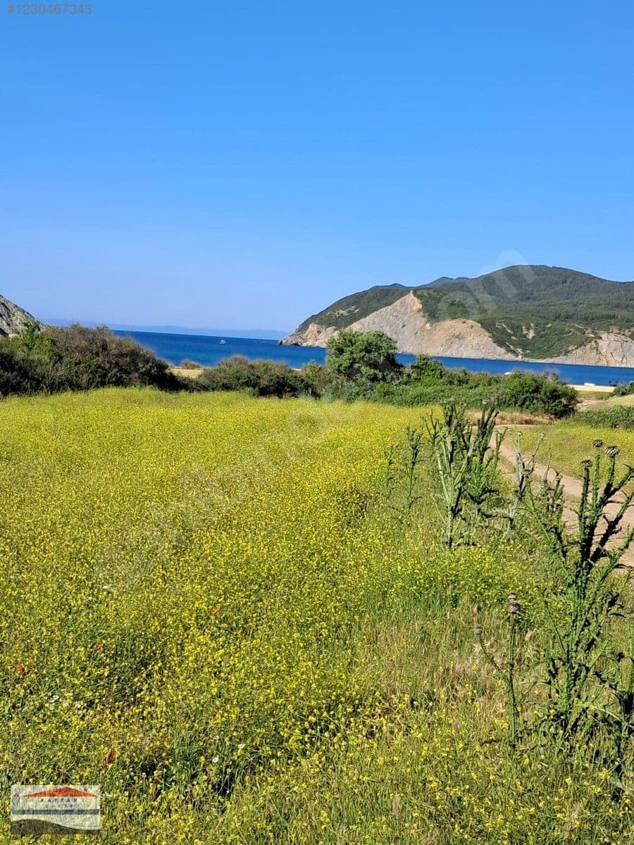 Çanakkale Eceabat Beşyol Köyü satılık arsa – fotoğraf 9