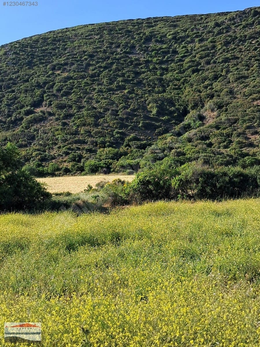 Çanakkale Eceabat Beşyol Köyü satılık arsa – fotoğraf 15