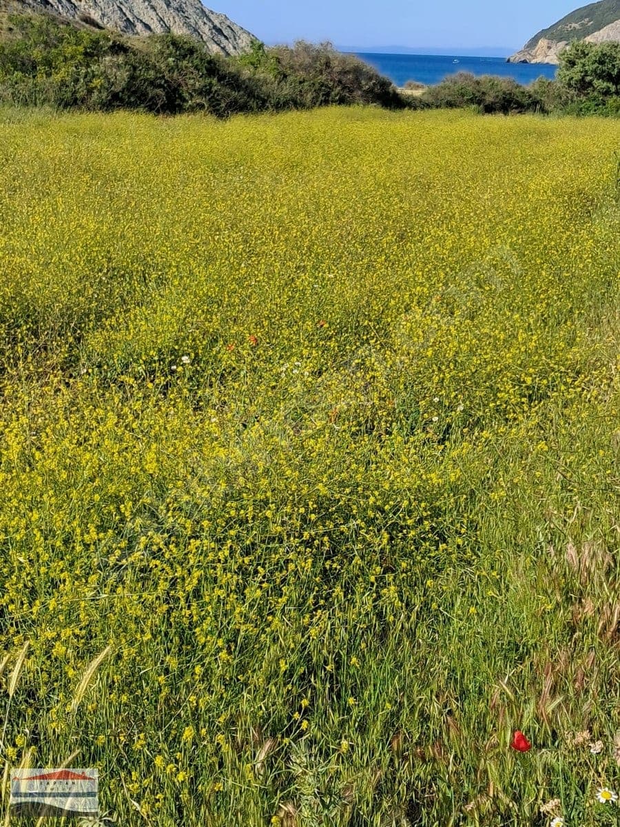Çanakkale Eceabat Beşyol Köyü satılık arsa – fotoğraf 13