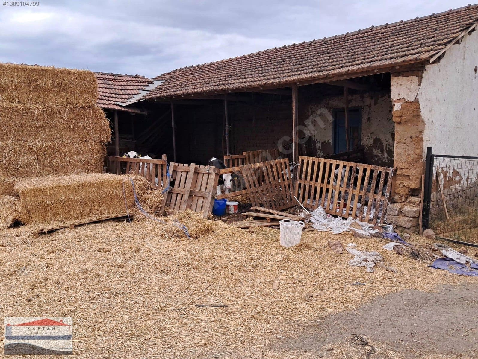 Çanakkale Yenice Koruköy Köyü satılık arsa – fotoğraf 2