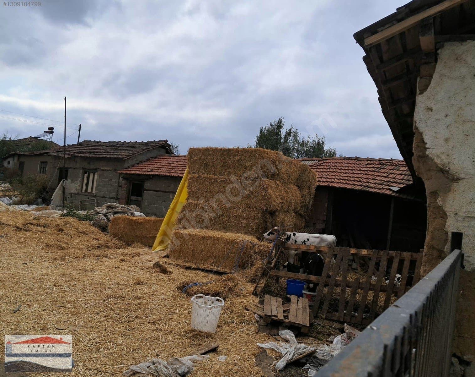 Çanakkale Yenice Koruköy Köyü satılık arsa – fotoğraf 3